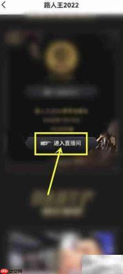 路人王2022直播观看指南