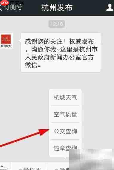 杭州公交信息查询指南