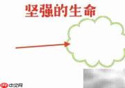 坚强生命,绽放希望