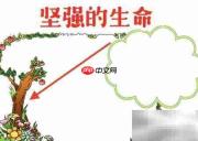 坚强生命,绽放希望