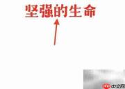 坚强生命,绽放希望