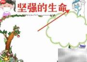 坚强生命,绽放希望