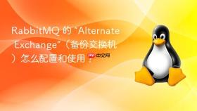 rabbitmq 的 “alternate exchange”(备份交换机)怎么配置和使用?