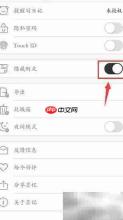 墨记隐藏首页例文方法