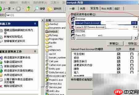 IIS配置正确方法