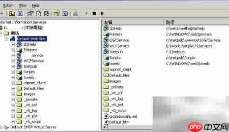 IIS配置正确方法