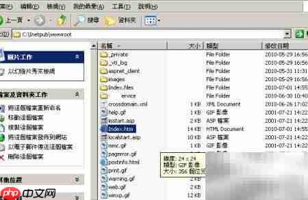 IIS配置正确方法