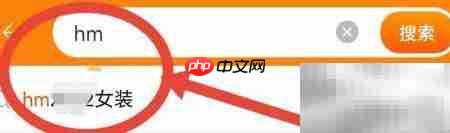 HM淘宝搜衣攻略