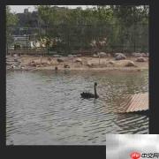 还原真实:图片背景色彩校正技巧