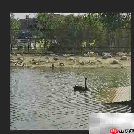 还原真实:图片背景色彩校正技巧