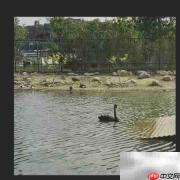 还原真实:图片背景色彩校正技巧