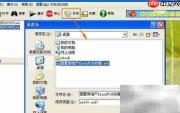 下载网页Flash文件方法