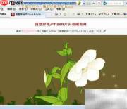 下载网页Flash文件方法