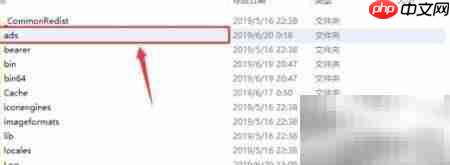 黑色沙漠STEAM汉化互转指南