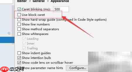 IntelliJ IDEA开启块插入符