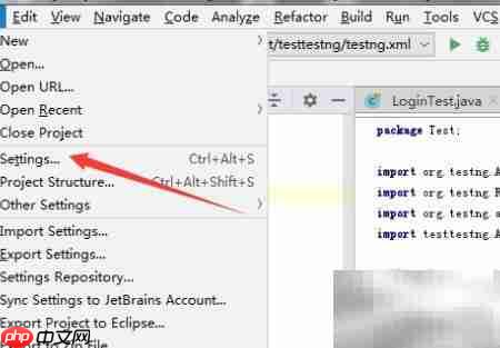IntelliJ IDEA开启块插入符