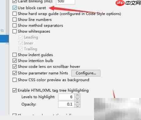 IntelliJ IDEA开启块插入符