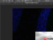 Photoshop CS6图片合并教程