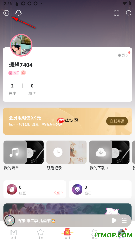 漫播手机版设置启用与其他应用同时播放功能的方法