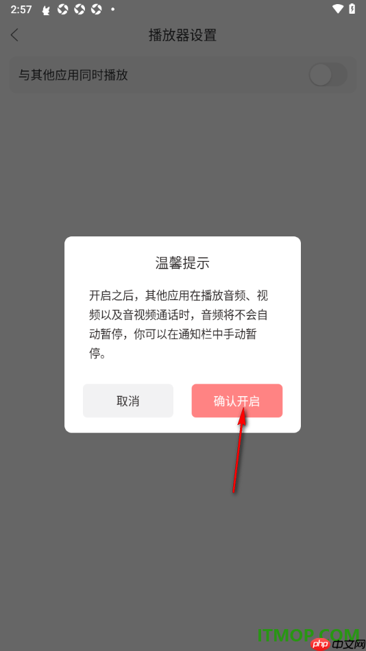 漫播手机版设置启用与其他应用同时播放功能的方法