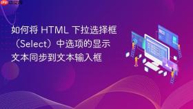 如何将 HTML 下拉选择框(Select)中选项的显示文本同步到文本输入框
