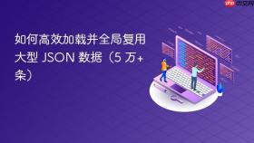 如何高效加载并全局复用大型 JSON 数据(5 万+ 条)