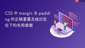 CSS 中 margin 与 padding 的正确重置及绝对定位下的布局修复