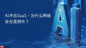 ai冲击saas，为什么网络安全是例外？