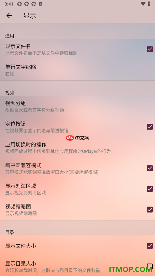 播放器OPlayer手机版设置启用画中画兼容模式的方法