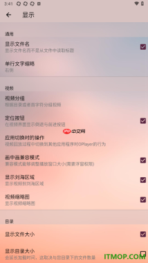 播放器OPlayer手机版设置启用画中画兼容模式的方法