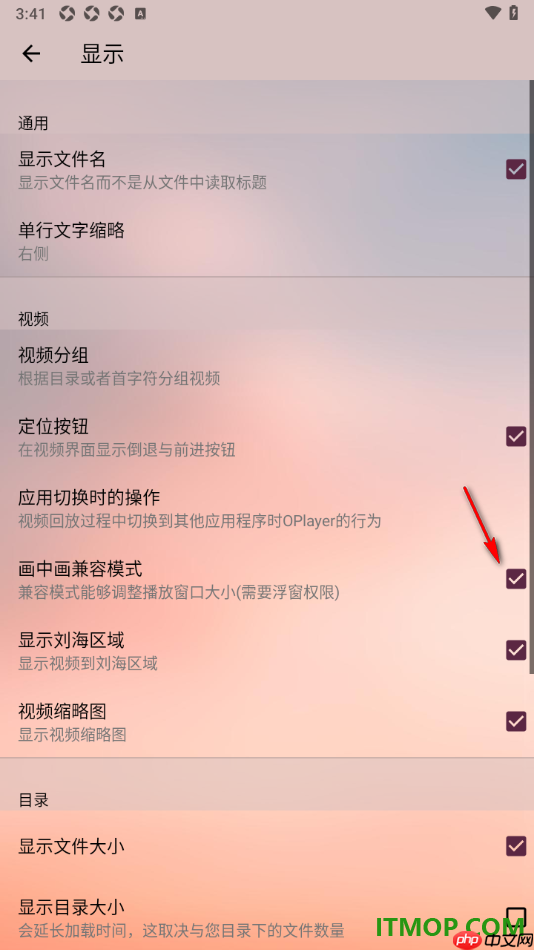 播放器OPlayer手机版设置启用画中画兼容模式的方法
