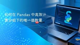 如何在 Pandas 中高效计算分组下的唯一值数量