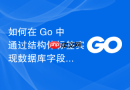 如何在 Go 中通过结构体标签实现数据库字段到 JSON 的正确映射