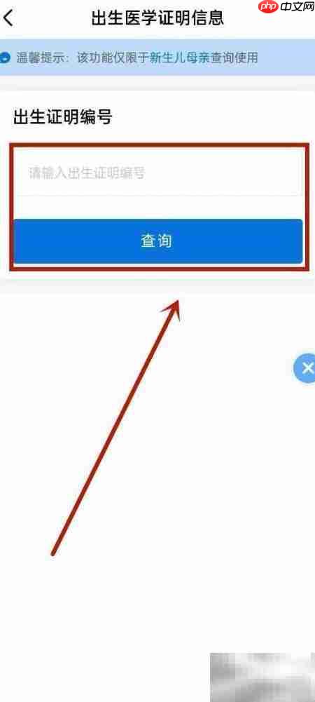 辽事通查出生证明操作指南