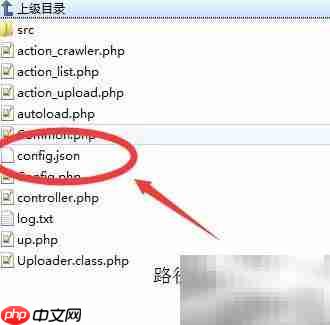 编辑器图片上传路径配置