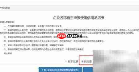 公司名称网上申报指南