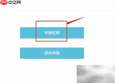 公司名称网上申报指南