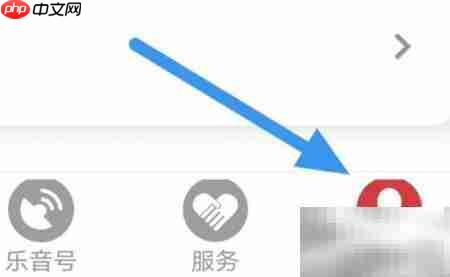 乐音清扬隐私政策查看方法
