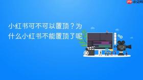 小红书可不可以置顶?为什么小红书不能置顶了呢