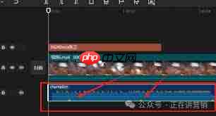剪映专业版怎么设置音频