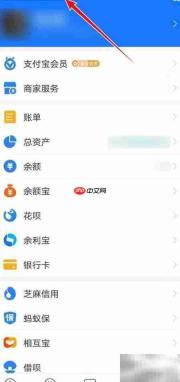 支付宝保险服务协议查看指南