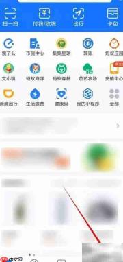 支付宝保险服务协议查看指南