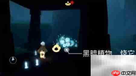 光遇2.22每日任务速通指南