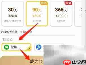 安卓伊对会员开通指南
