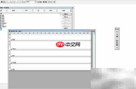 VF6.0报表添加标签控件