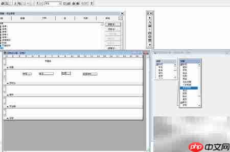 VF6.0报表添加标签控件