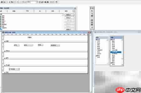 VF6.0报表添加标签控件