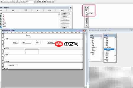 VF6.0报表添加标签控件