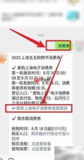 2022爱购上海消费券发放时间