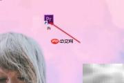 PR新建项目DV/HDV设置指南